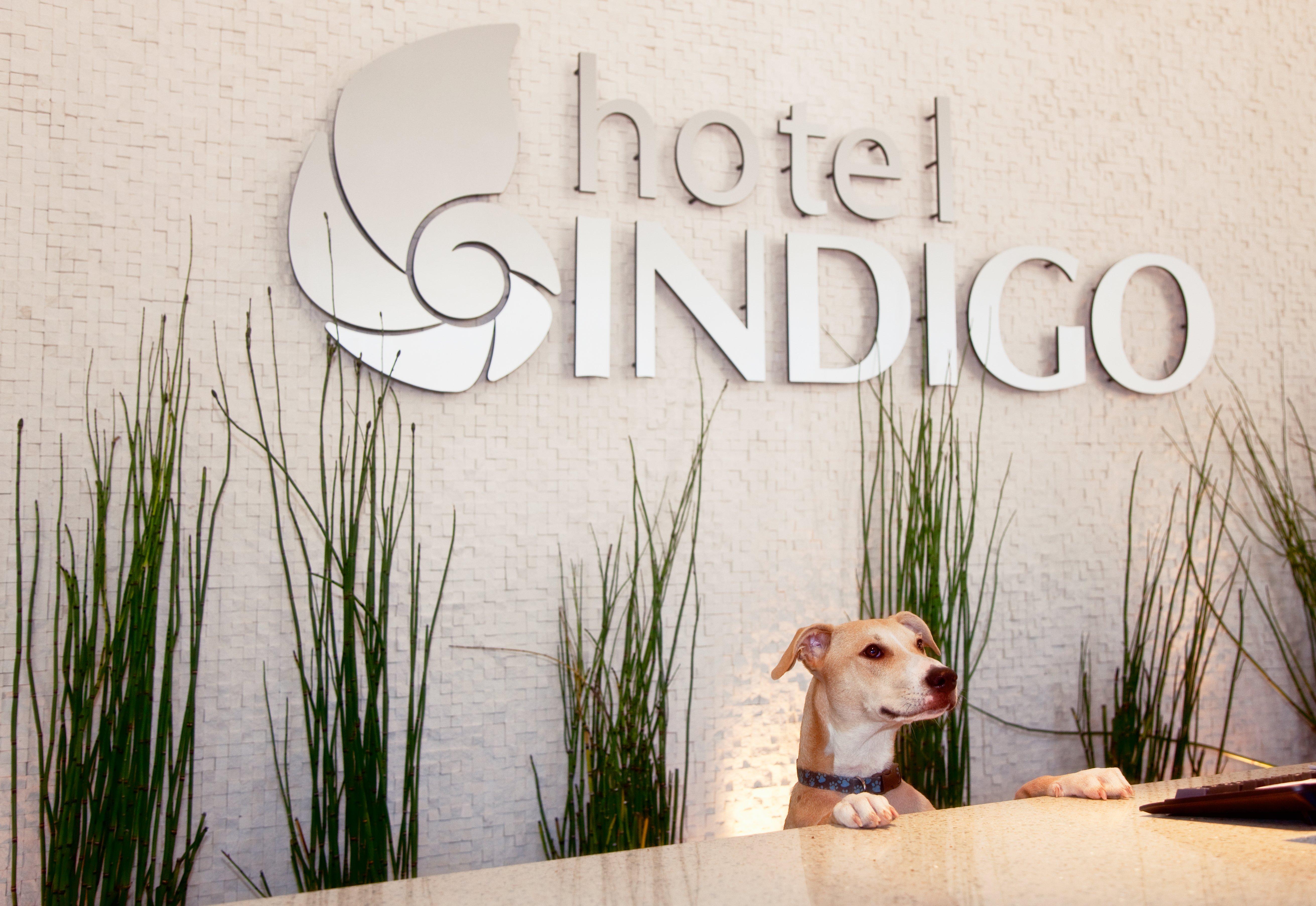 Hotel Indigo San Diego - Gaslamp Quarter By Ihg Kültér fotó